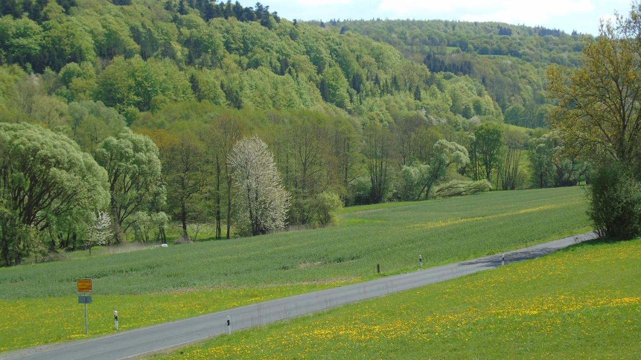 Ferienwohnung Csilla Unterweid Zewnętrze zdjęcie